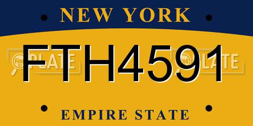 FTH4591 New York License Plate