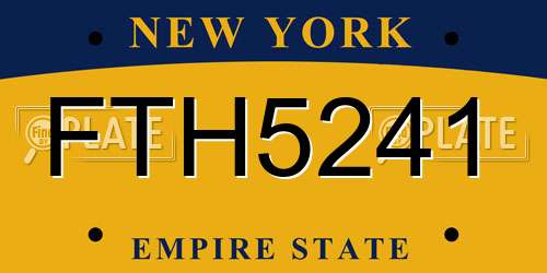 FTH5241 New York License Plate