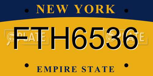 FTH6536 New York License Plate
