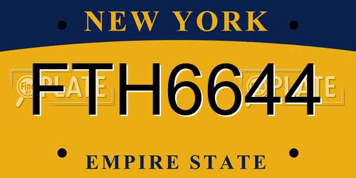 FTH6644 New York License Plate