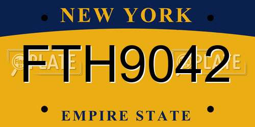 FTH9042 New York License Plate