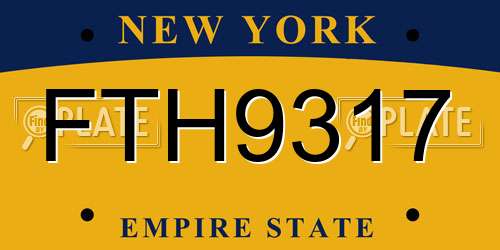 FTH9317 New York License Plate