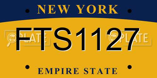 FTS1127 New York License Plate