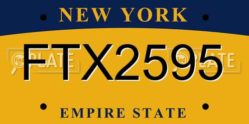 FTX2595 New York License Plate