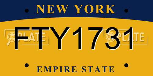 FTY1731 New York License Plate