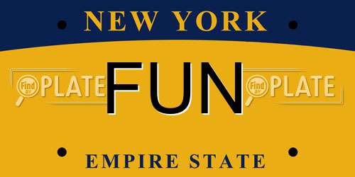 FUN New York License Plate