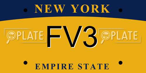 FV3 New York License Plate