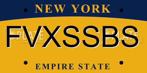 FVXSSBS New York License Plate