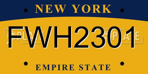 FWH2301 New York License Plate