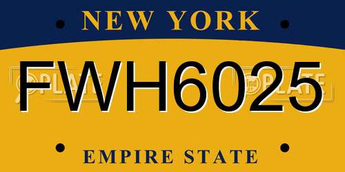 FWH6025 New York License Plate