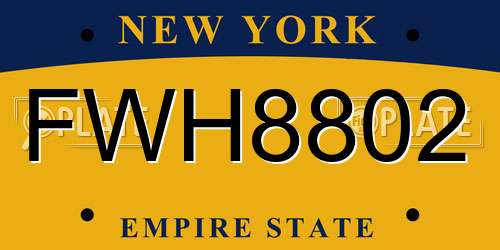 FWH8802 New York License Plate
