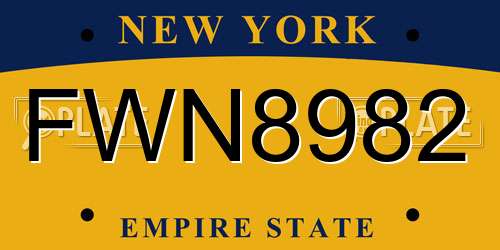 FWN8982 New York License Plate
