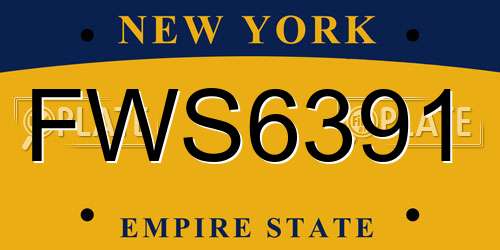 FWS6391 New York License Plate