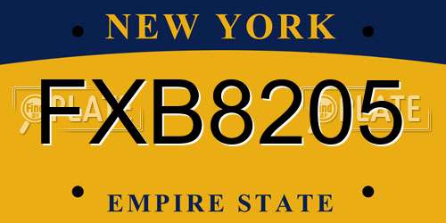 FXB8205 New York License Plate
