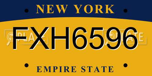 FXH6596 New York License Plate