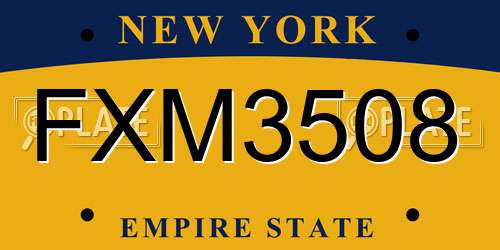 FXM3508 New York License Plate