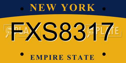 FXS8317 New York License Plate