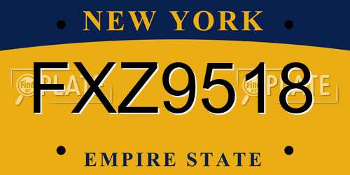 FXZ9518 New York License Plate