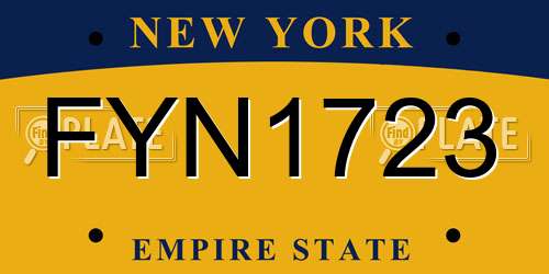 FYN1723 New York License Plate