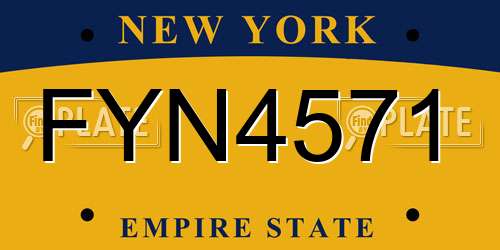 FYN4571 New York License Plate