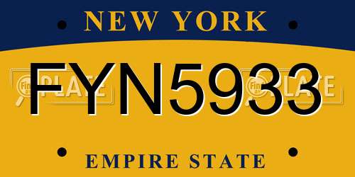 FYN5933 New York License Plate