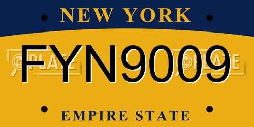 FYN9009 New York License Plate