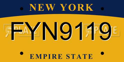 FYN9119 New York License Plate