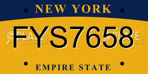 FYS7658 New York License Plate