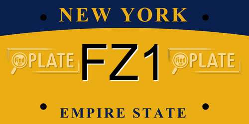 FZ1 New York License Plate