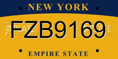 FZB9169 New York License Plate