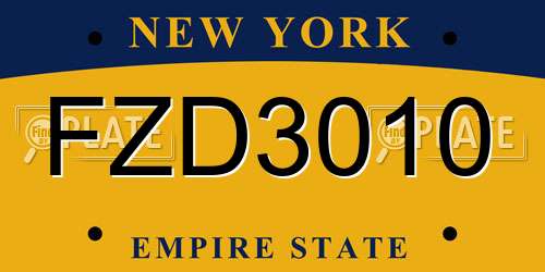 FZD3010 New York License Plate