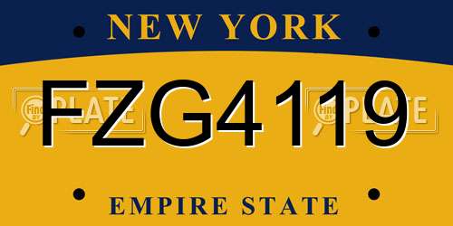 FZG4119 New York License Plate