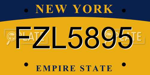 FZL5895 New York License Plate