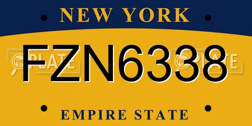 FZN6338 New York License Plate