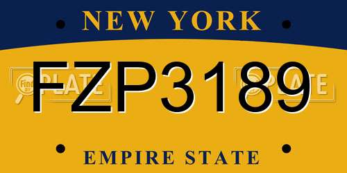 FZP3189 New York License Plate