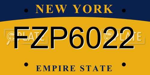 FZP6022 New York License Plate