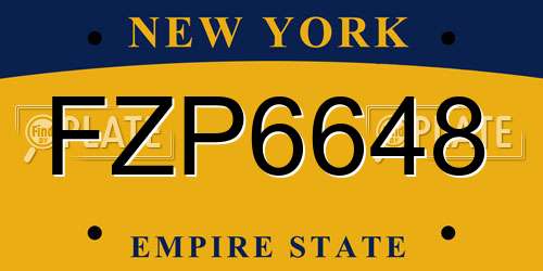 FZP6648 New York License Plate