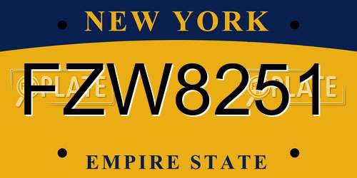 FZW8251 New York License Plate
