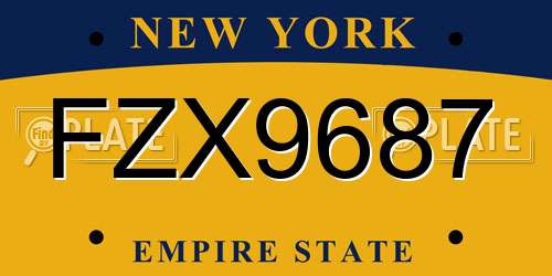 FZX9687 New York License Plate