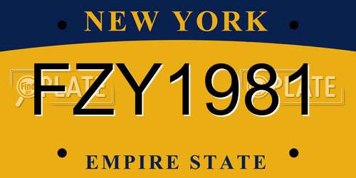 FZY1981 New York License Plate