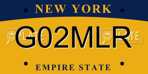 G02MLR New York License Plate