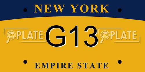 G13 New York License Plate