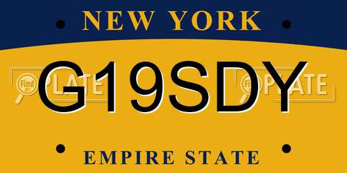 G19SDY New York License Plate