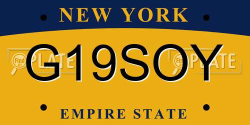 G19SOY New York License Plate