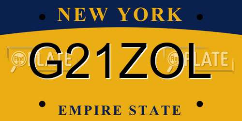 G21ZOL New York License Plate