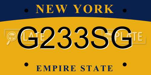 G233SG New York License Plate