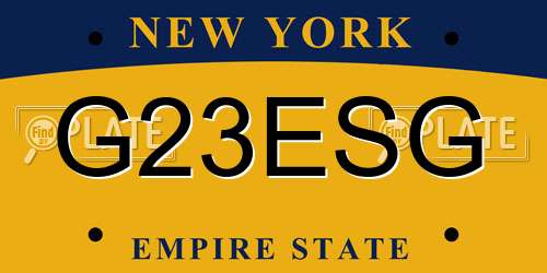 G23ESG New York License Plate