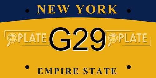 G29 New York License Plate