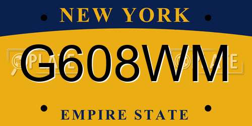 G608WM New York License Plate