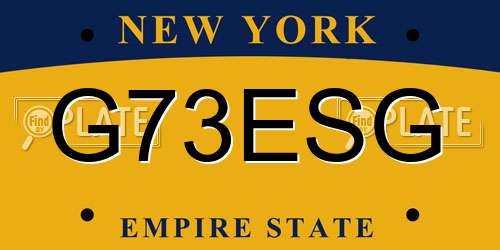G73ESG New York License Plate